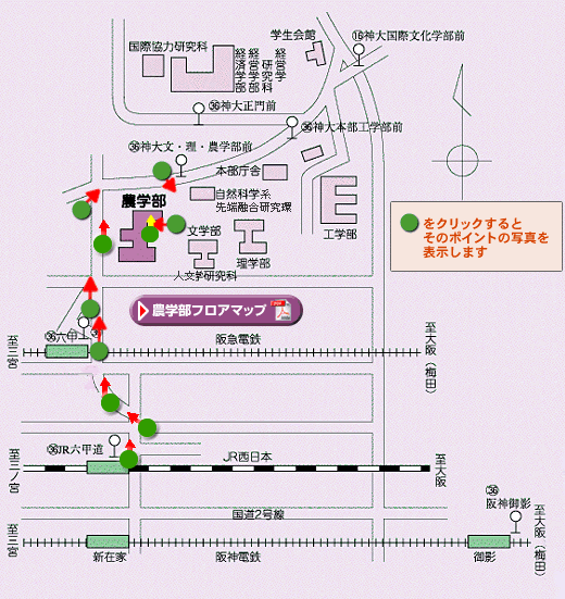 神戸大学農学部道順