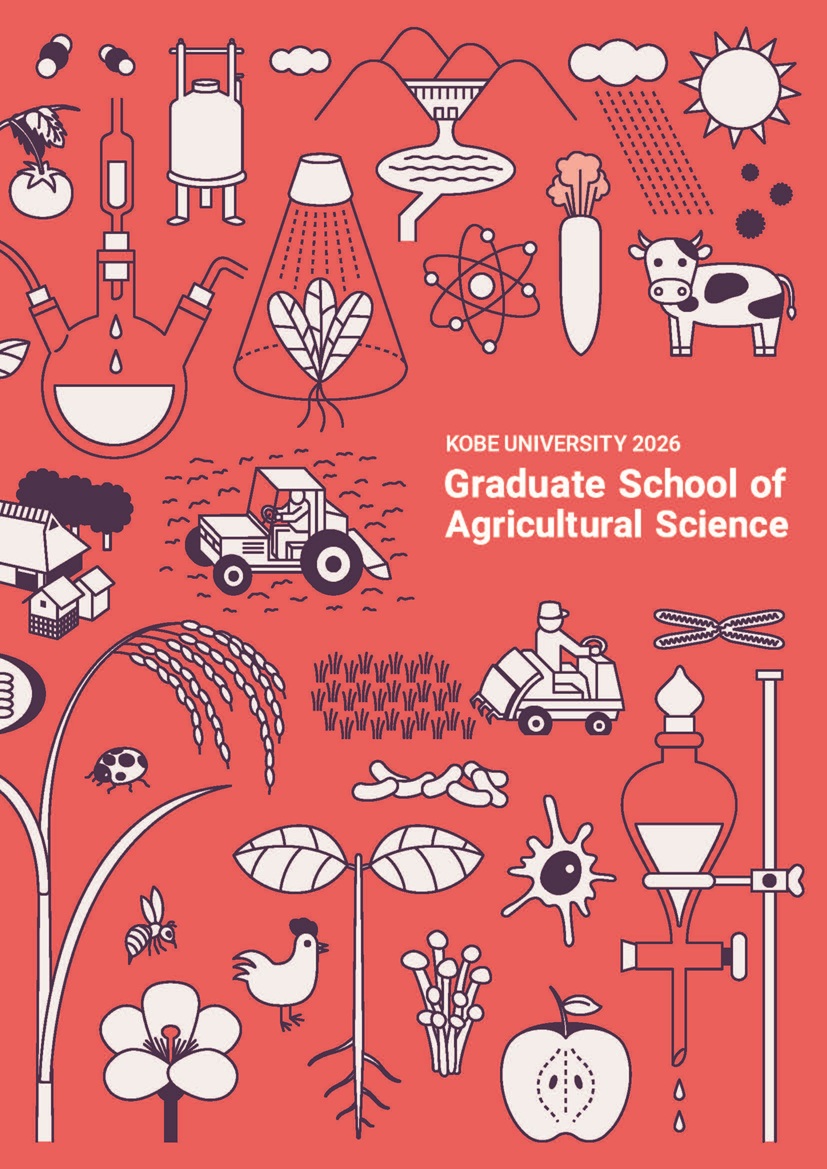 English Pamphlet 2026